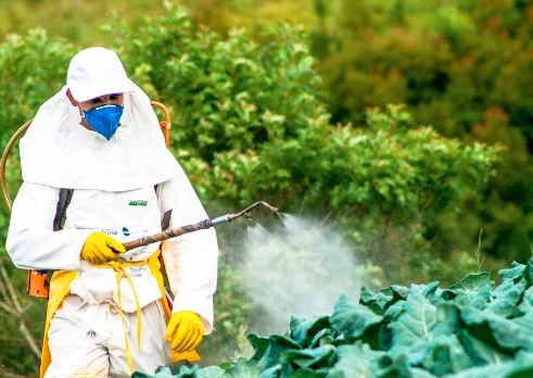 Exploring the Agricultural Chemicals Market: Growth, Major Players and Forecast