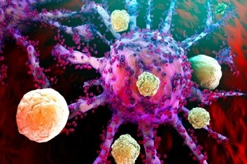 How Pfizer &amp; AstraZeneca is revolutionizing USA Solid Tumor Therapeutics Market