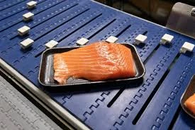 Frozen Salmon Processing Plant Project Report 2024: Setup Cost, Machinery Requirements and Raw Materials