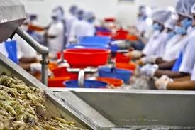 Canned Shrimp Processing Plant Project Report 2024: Raw Materials, Investment Opportunities, Cost and Revenue