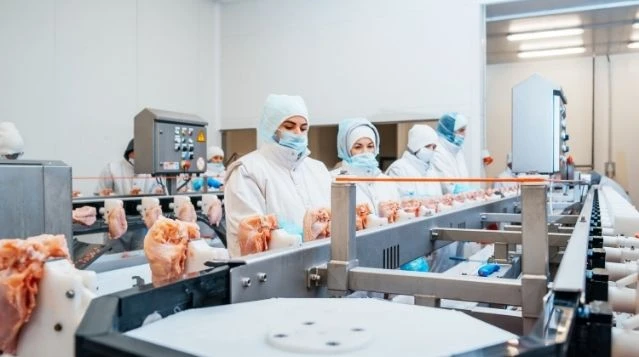 Global Poultry Processing Equipment Market 2022 | Key Development To Be Observed Industry States And Outlook Across By 2028