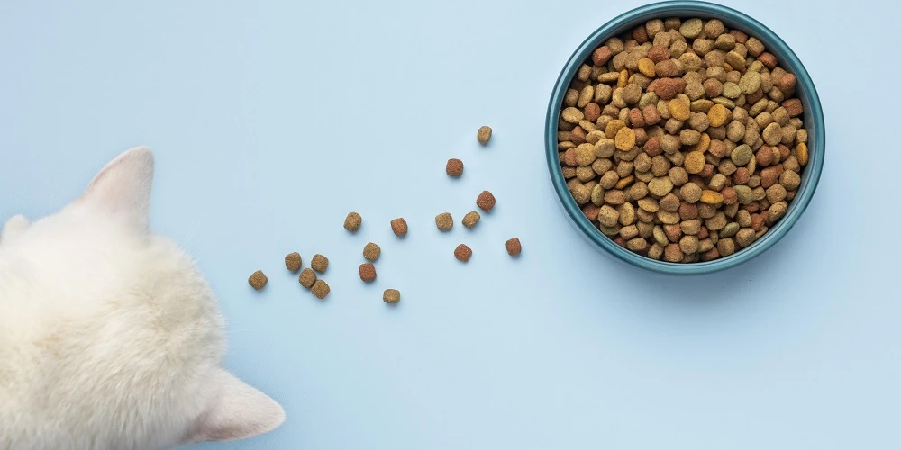Looking For The Best Pet Food Supplier? Here’s How To Find One