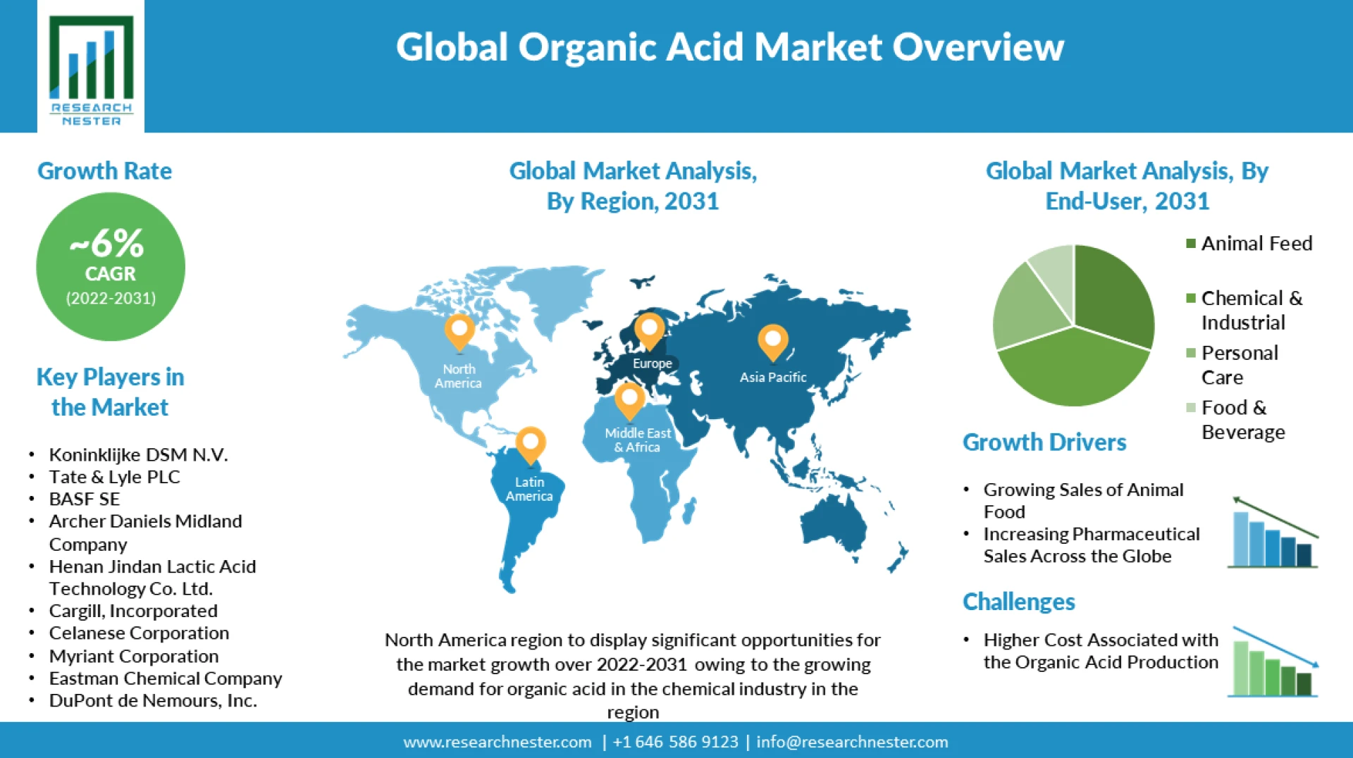 Global Organic Acid Market Size, Key players Analysis, Future Trends, Revenue and Forecast 2031