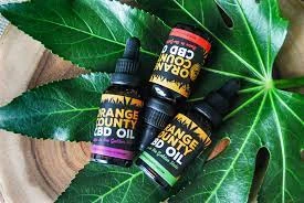 Elevating Wellness: Navigating the CBD Landscape in Beaumont , TX