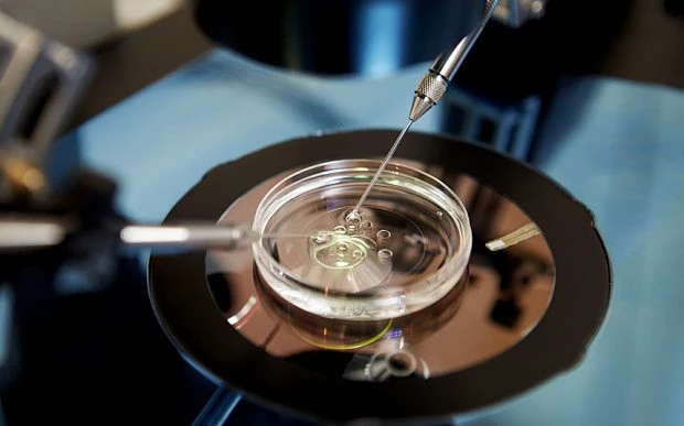 Exploring IVF Fees in India: Affordable Options