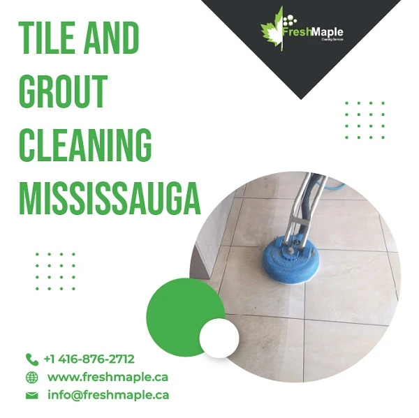 Why Tile and Grout Cleaning Mississauga Services for Schools are Vital?