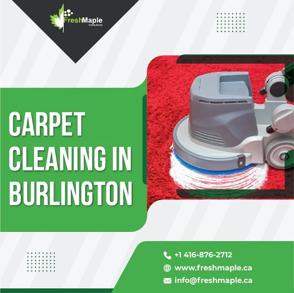 Carpet Cleaning in Burlington by Fresh Maple is Handled by Neat Freaks