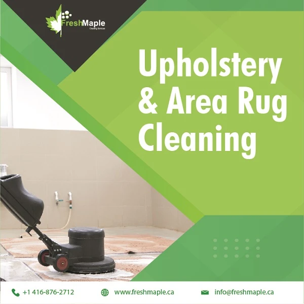 Professional Upholstery &amp; Area Rug Cleaning Make Your Home Lively