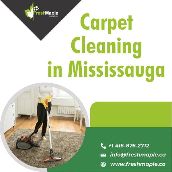 Providers Of Professional Carpet Cleaning in Mississauga Services On The Spot