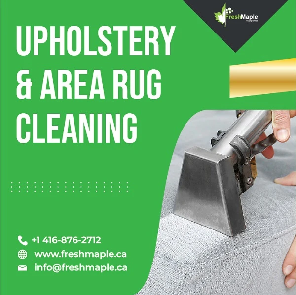 Let Us Start A New Life After Upholstery &amp; Area Rug Cleaning