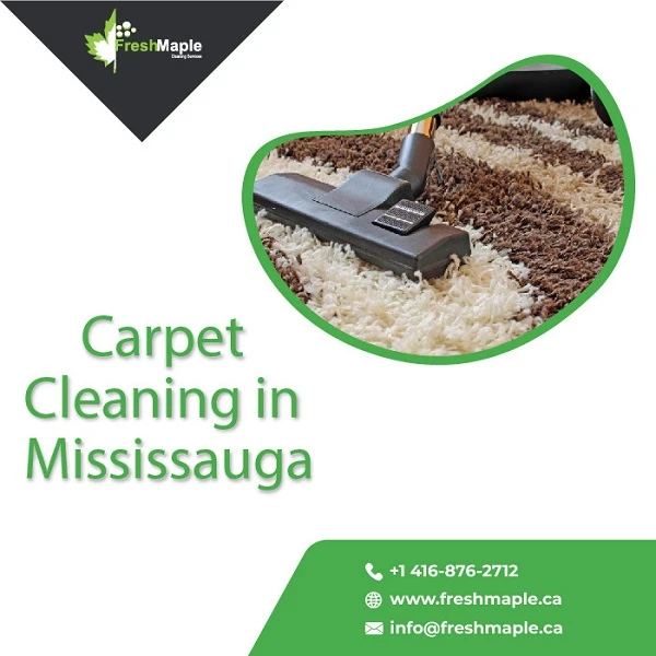 It’s best To Hire Expert Services For Carpet Cleaning in Mississauga