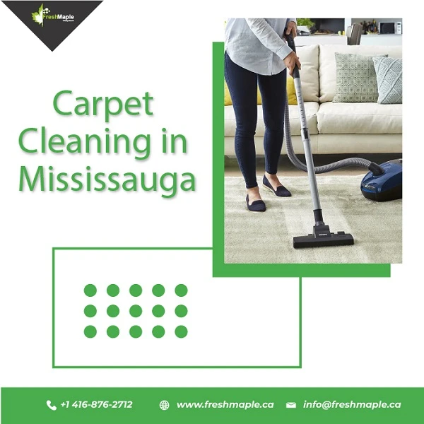 In-Depth Carpet Cleaning In Mississauga, Provided By Industry Specialists