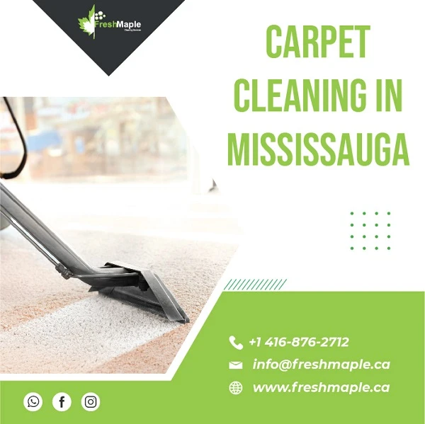 It’s Best To Hire Expert Services For Carpet Cleaning In Mississauga