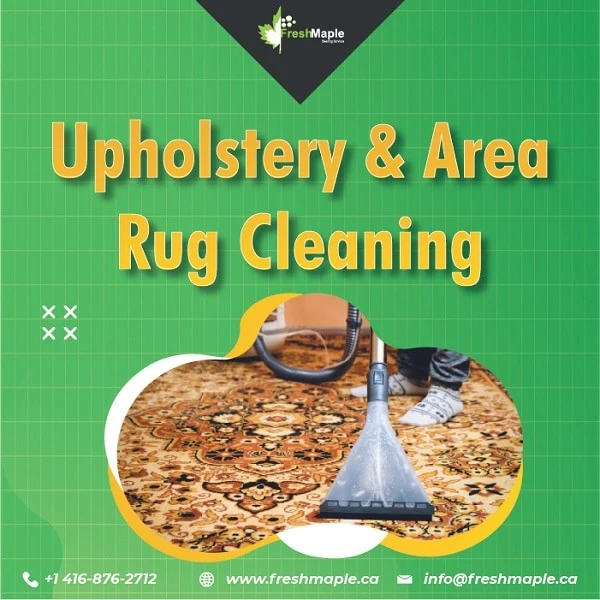 Hire Upholstery and Area Rug Cleaning Services before the Holidays