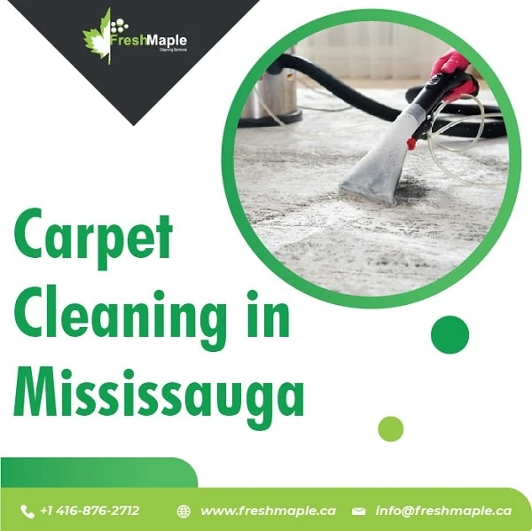 What Are the Pros of Carpet Cleaning in Mississauga for Your Company?