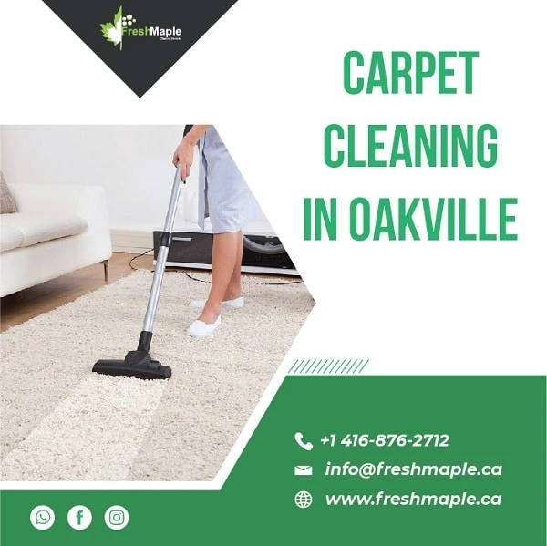 We Clean Your Mess- Carpet Cleaning In Oakville
