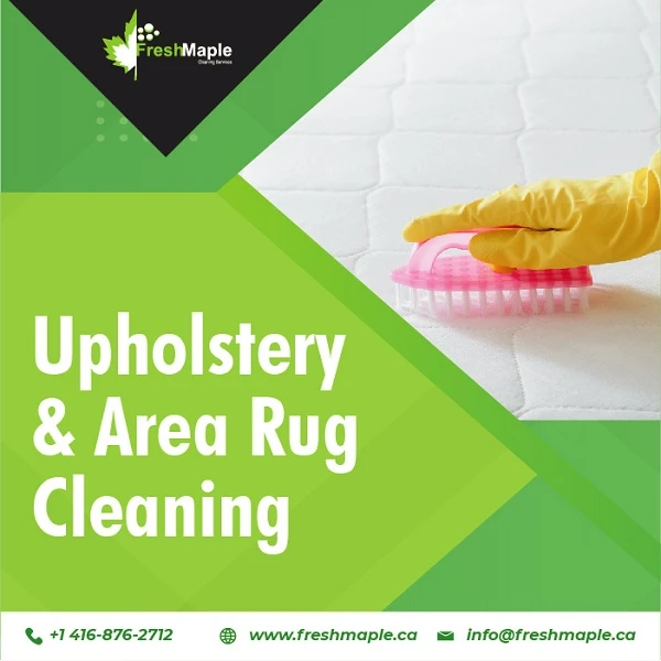 Upholstery &amp; Area Rug Cleaning! A Whole New way to Rejuvenate your Furniture