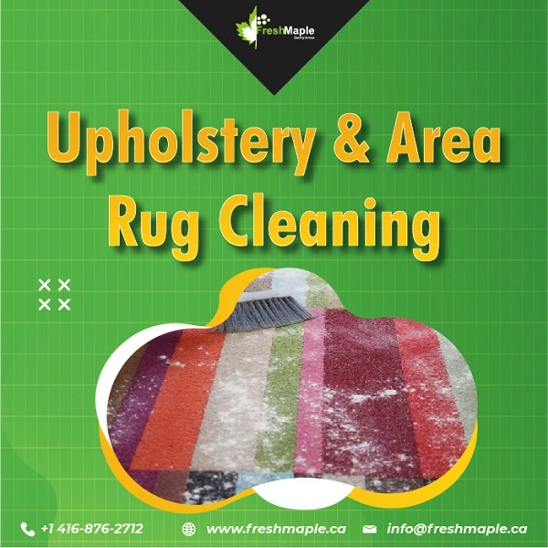 Upholstery and Area Rug Cleaning at Fresh Maple Makes the Best