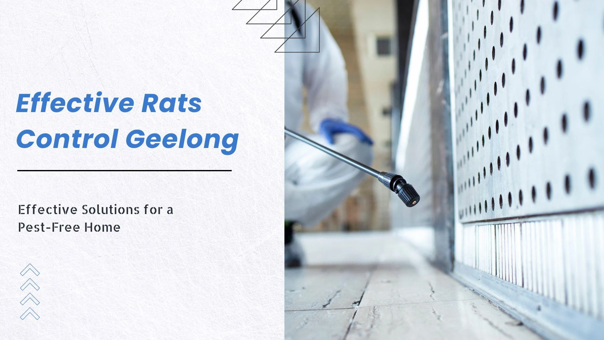 Effective Rats Control Geelong: Solutions for a Pest-Free Home