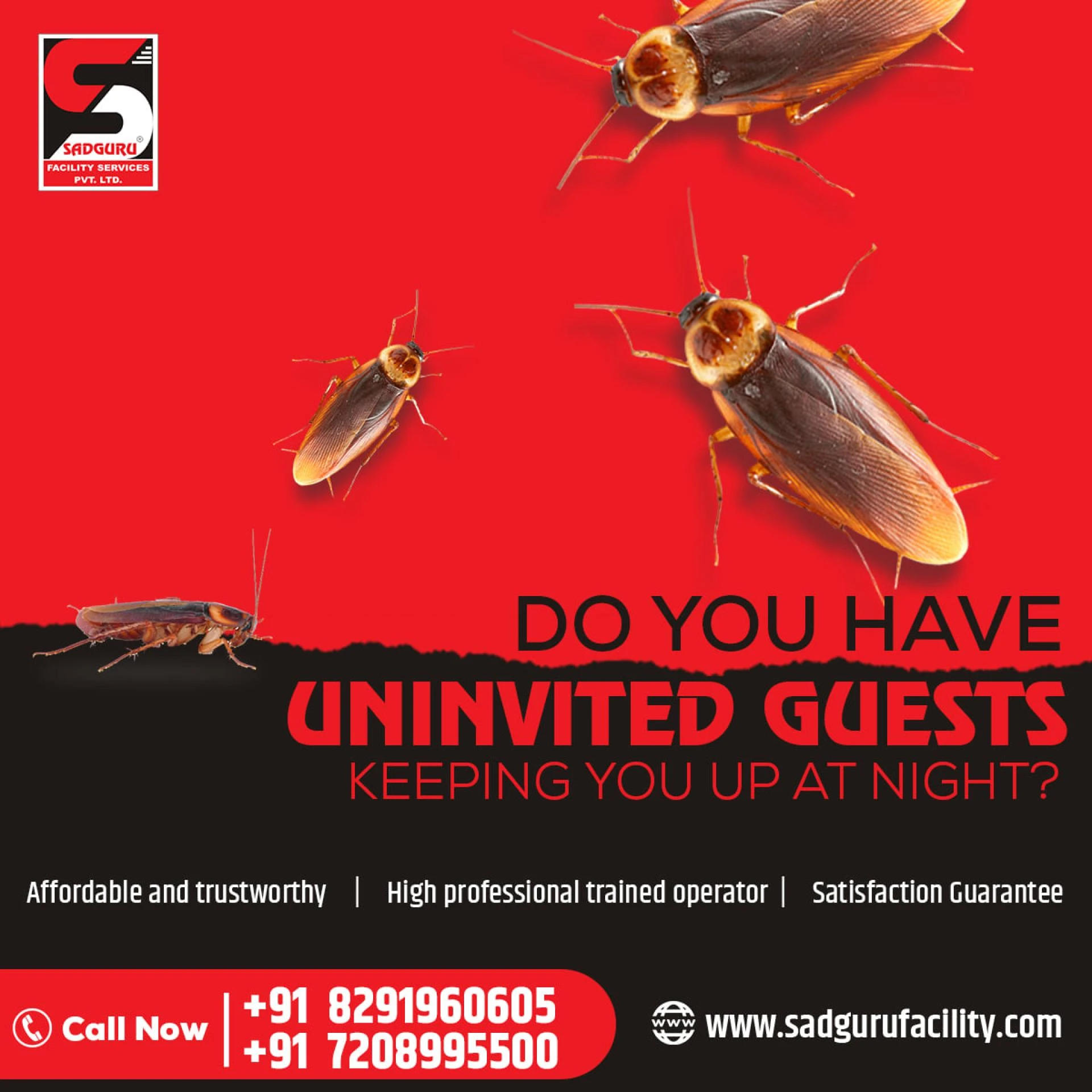 Pest Control Services in Kandivali - Sadguru Pest Control