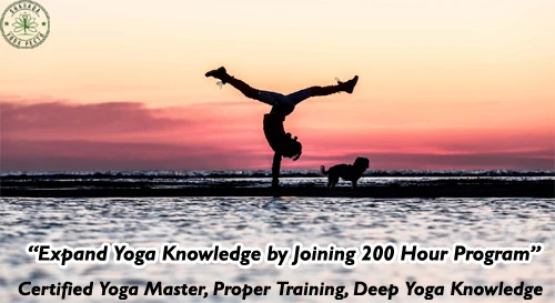 Expand Yoga Knowledge by Joining 200 Hour Program