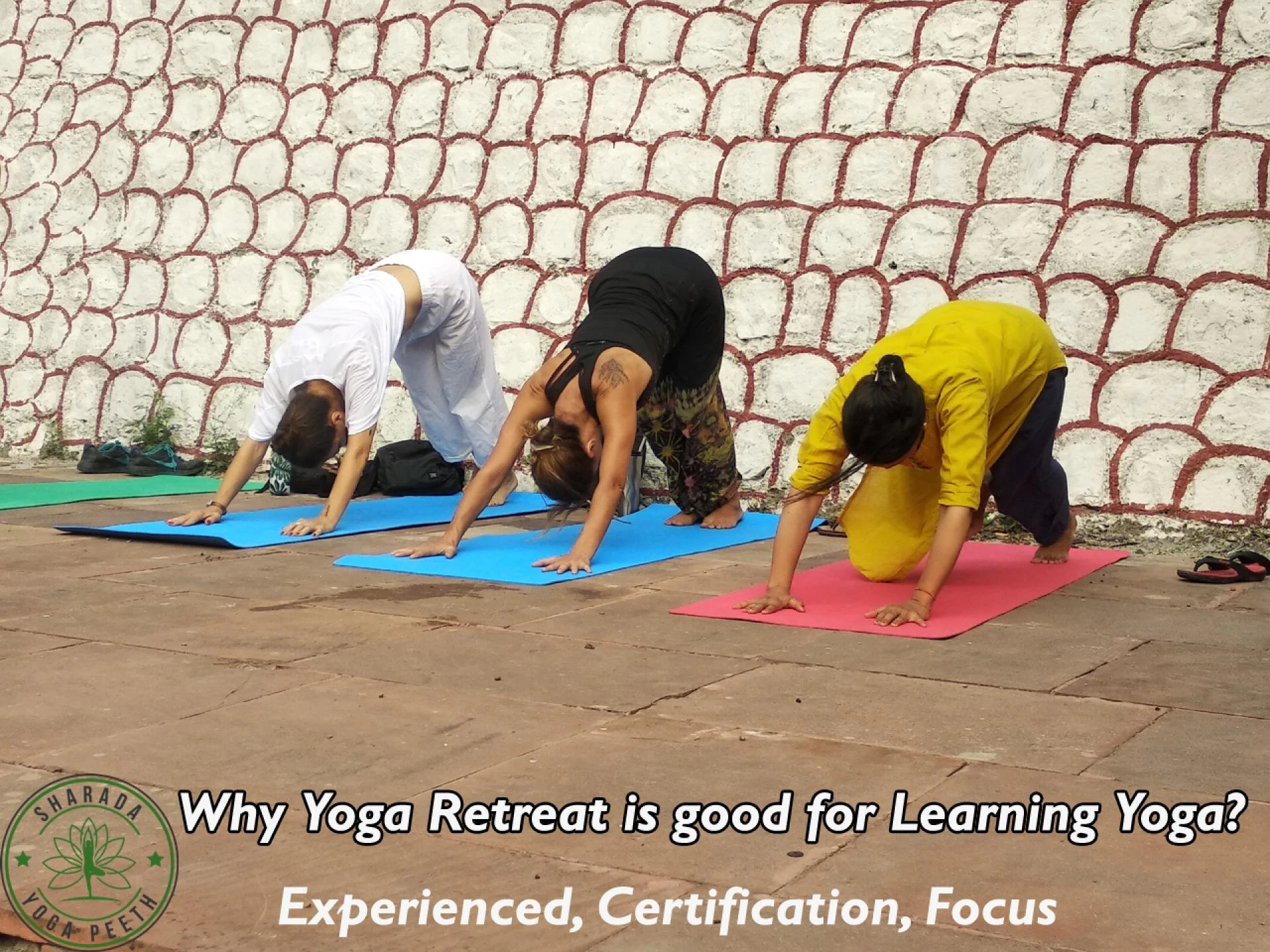 Why Yoga Retreat is good for Learning Yoga?