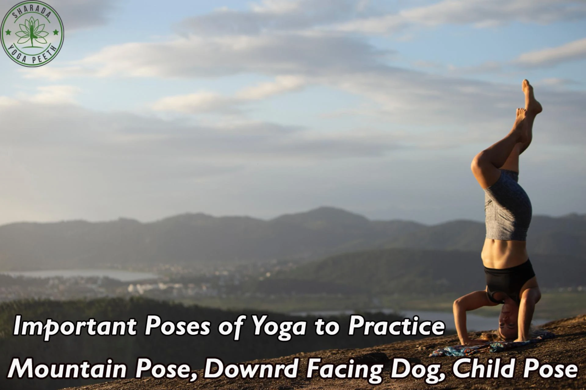 Important Poses of Yoga to Practice