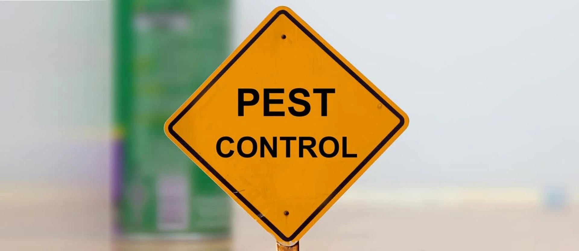 Pest Control Adelaide
