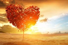 Unveiling the Enigmatic Allure of Love Spell: Harnessing the Magic of True Love