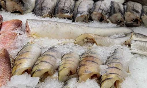 Discover the 8 Benefits of Having Shrimp in Your Diet