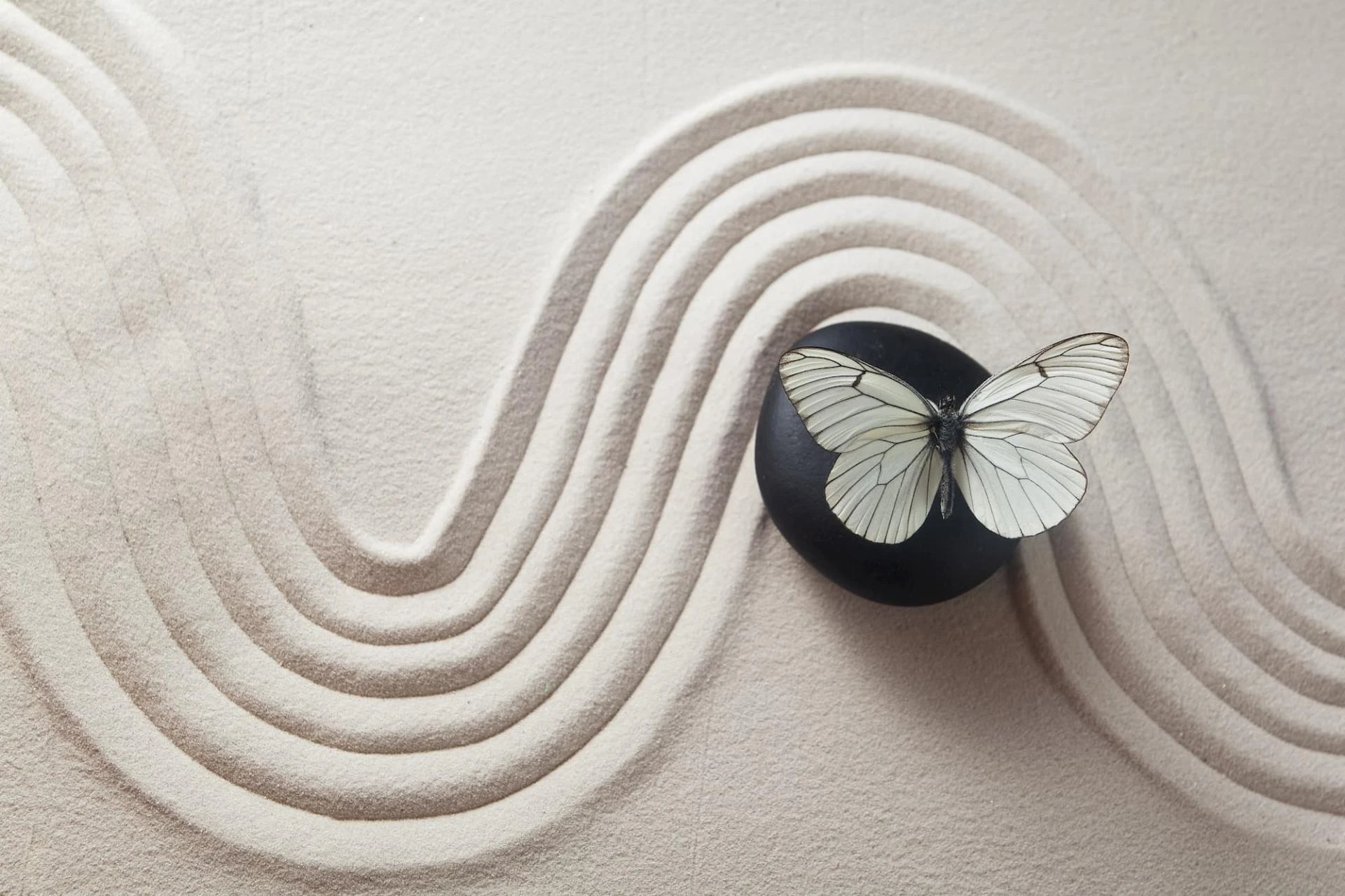 Center for Sacred Transformations: Healing Crisis in San Diego