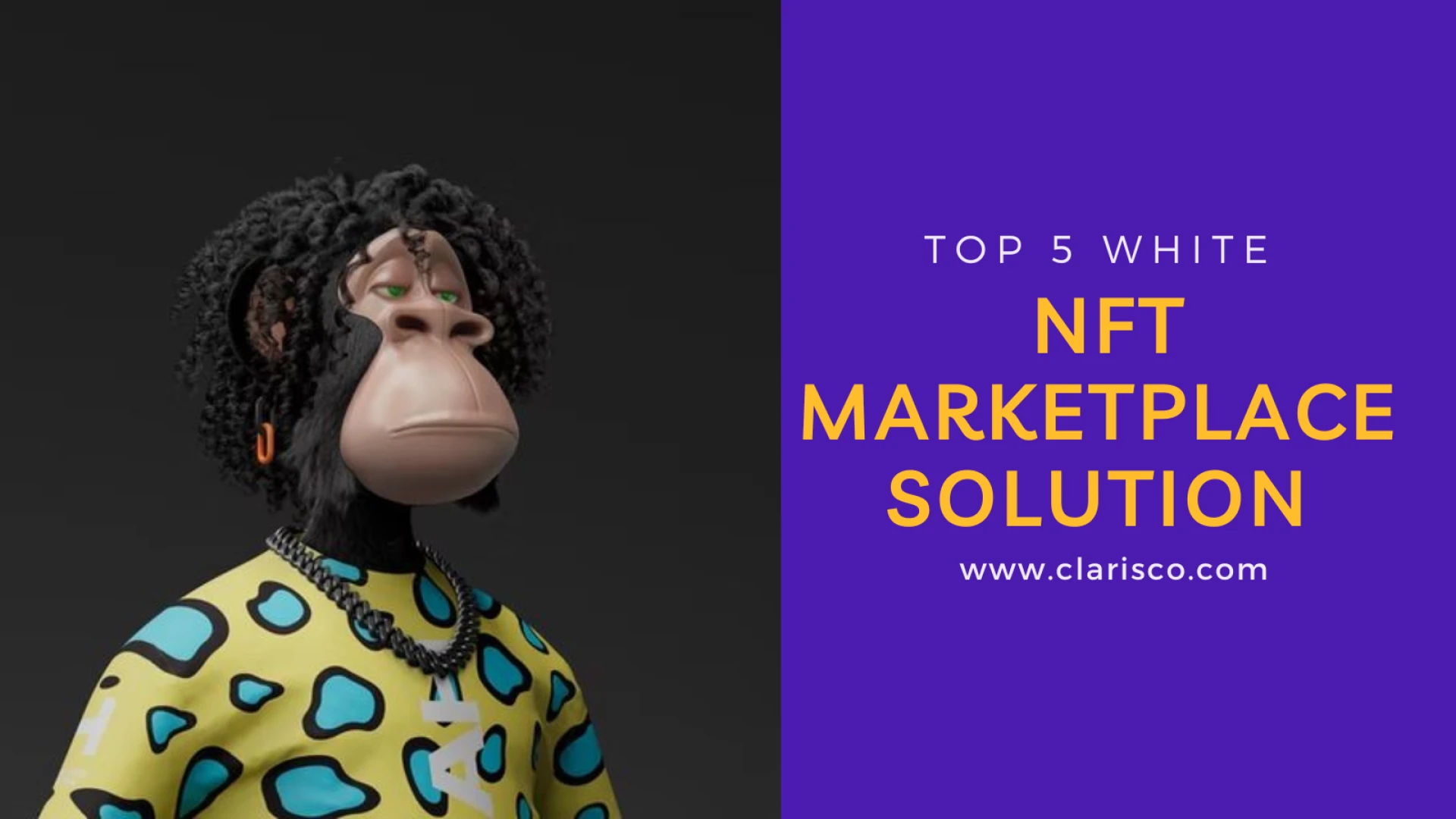 Top 5 White Nft Marketplace Solution