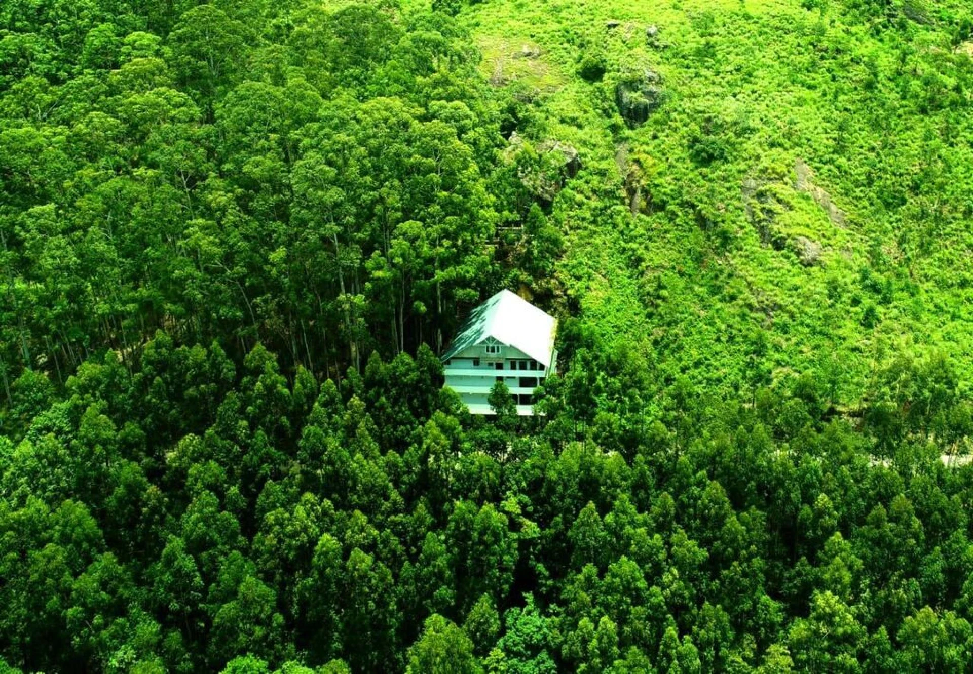 Mustvisit places in Munnar.