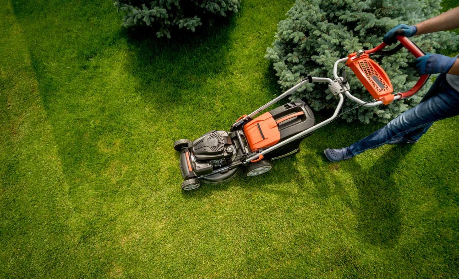 You need a landscape designer to make your yard beautiful!