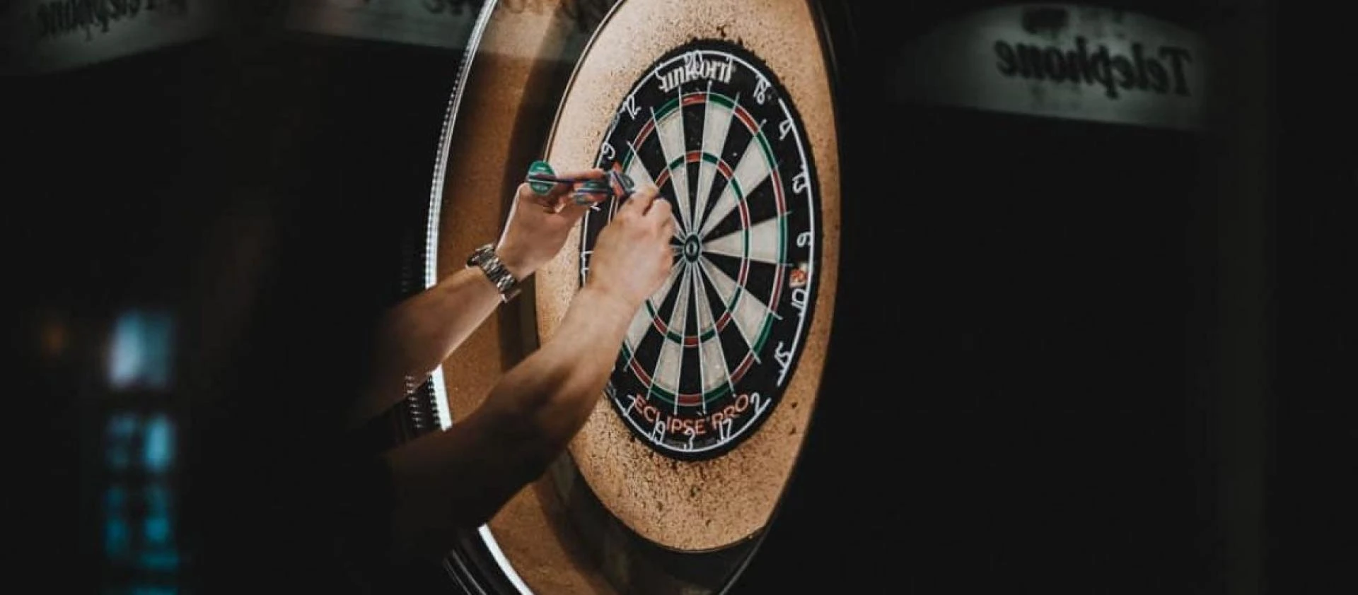 What dartboard do dart-bowling professionals utilize?