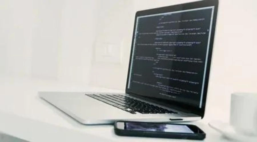 How to Hire a WordPress Expert Developer (9 Tips and Tricks) - (2023)