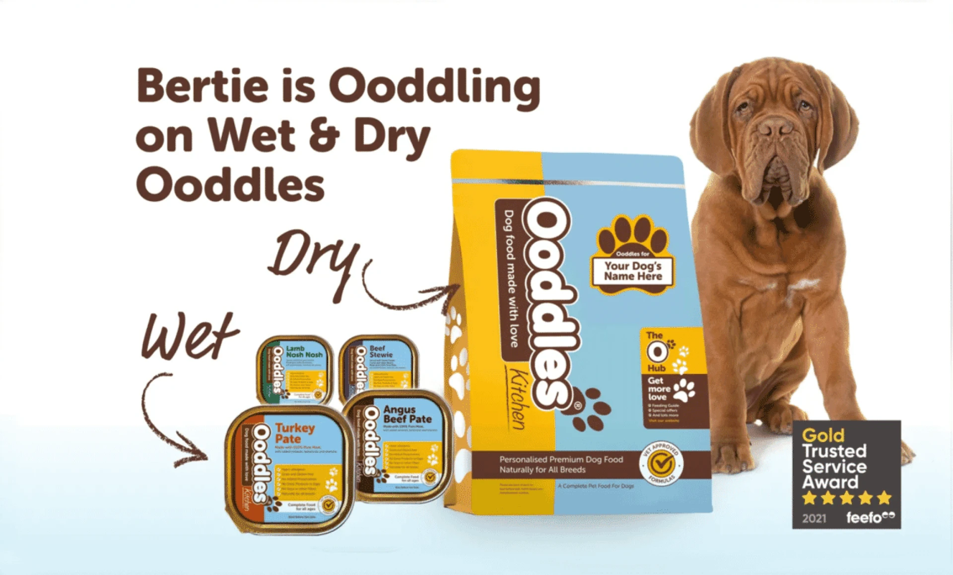 Raw Dog Food Primer: 6 Steps To Get Started