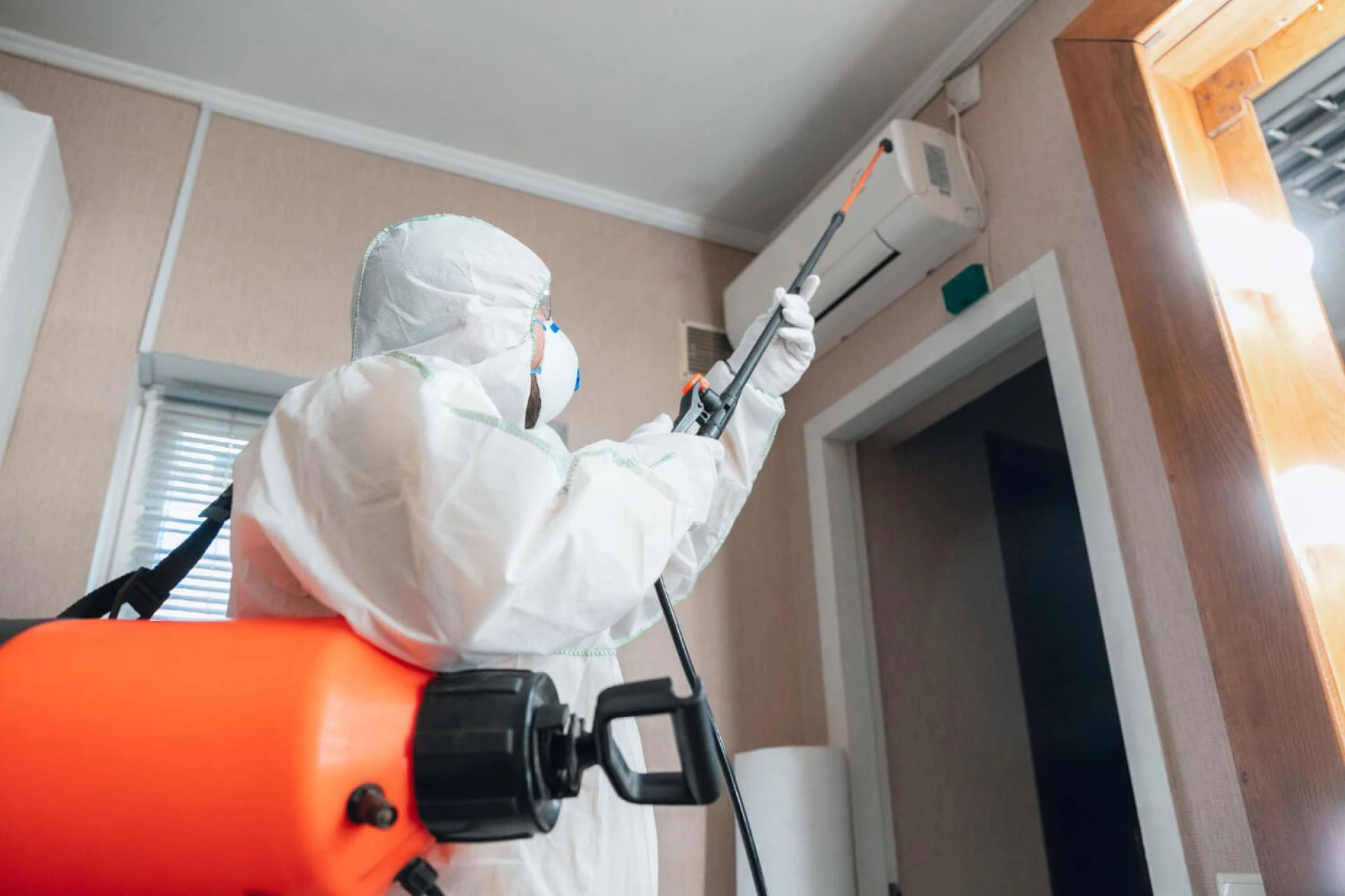 The Ultimate Guide to Pest Control Services in Delhi: How to Keep Your Home Bug-Free