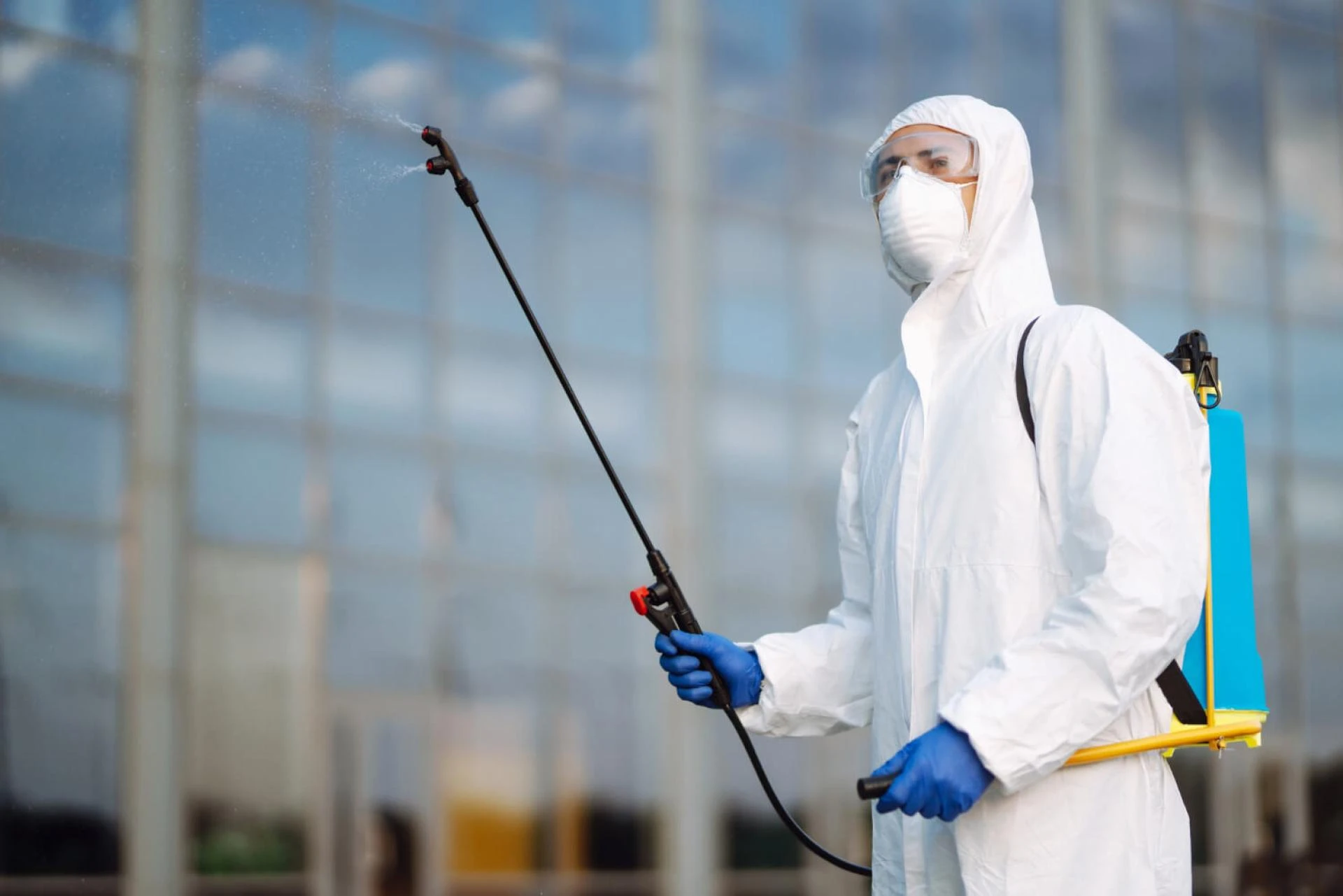 10 Best Pest Control and Prevention Tips to Keep Pests Away