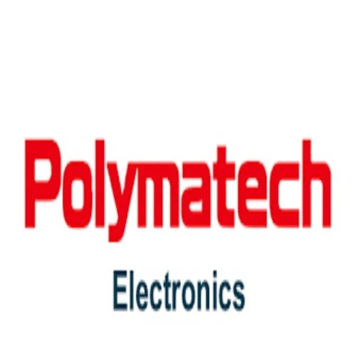 Unlocking Value: Exploring the Dynamics of Polymatech Electronic Unlisted Shares