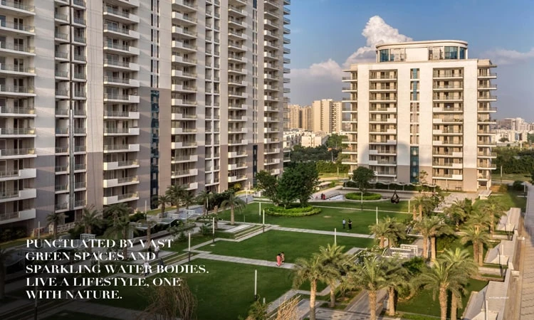DLF THE ULTIMA luxury project in sector 81 Gurgaon.