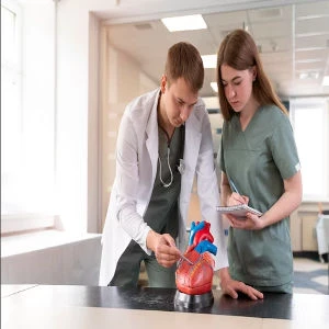 Steps to Consult the Best Cardiologist in Hyderabad