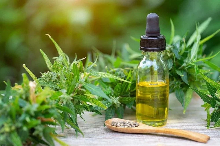 Good reasons to buy CBD oil: An International Ayurveda Practice