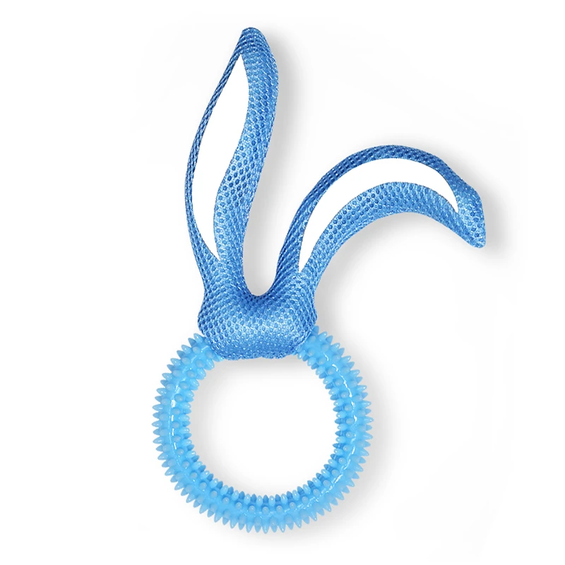 Pet Accessories Shop Online