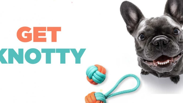 Pet accessories shop online