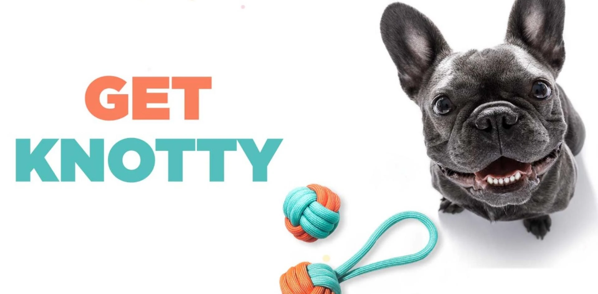 Where can I Buy Cat bowls online in India?