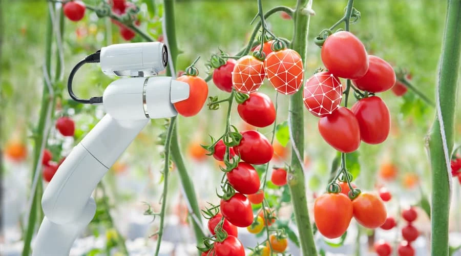 Fruit Picking Robots Market: Transforming the Agriculture Industry