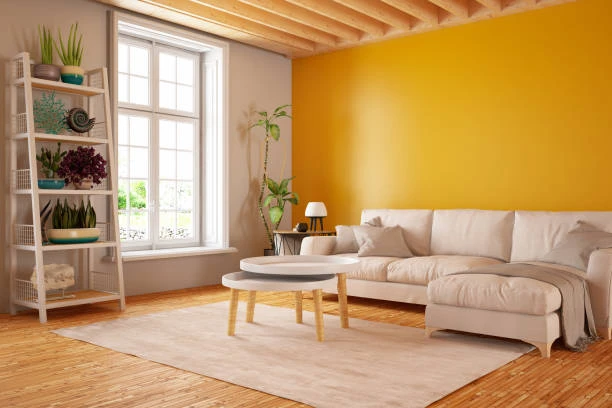 Beyond Paint: Elevate Your Home's Aesthetics with the Leading Painting Company in Victoria, BC