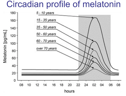 All you need to know about Bioresonance