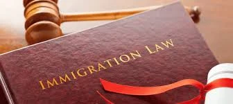 Immigration Lawyer London: Understanding the Role of Legal Experts in the Immigration Process